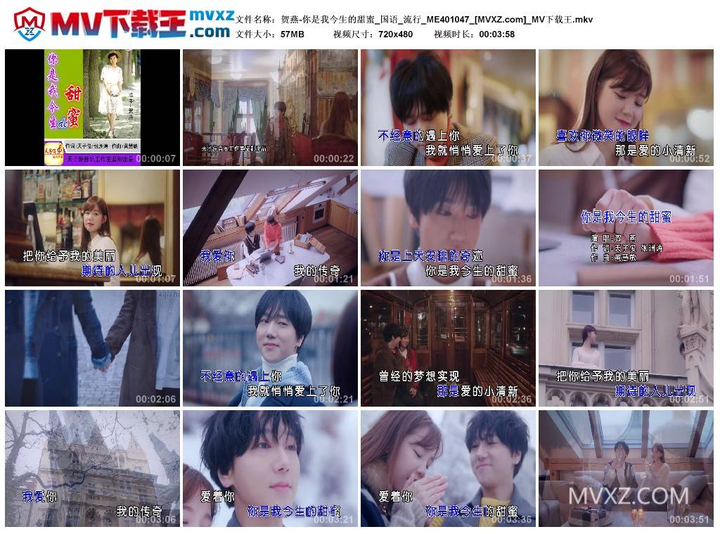 贺燕-你是我今生的甜蜜_国语_流行_ME401047